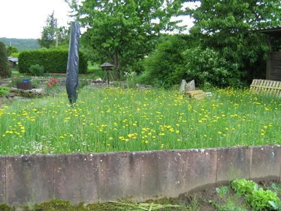 Garten Garten