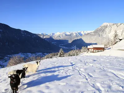 Bergbauernhof Burkert