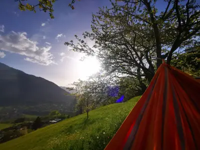 Ausblick von Hängematte im Garten