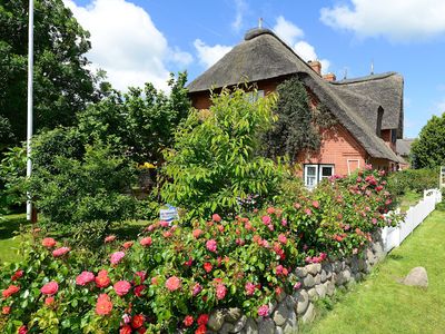 Ferienwohnung für 4 Personen (50 m²) in Oevenum 2/10