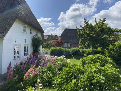 Ferienwohnung für 6 Personen (135 m²) in Oevenum 6/10