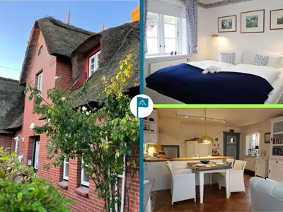 Ferienwohnung für 3 Personen (52 m²) in Oevenum 1/10