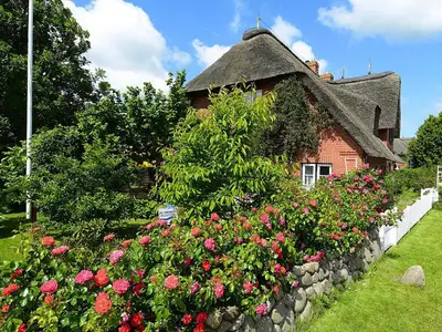 GardenSummer