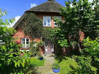 GardenSummer
