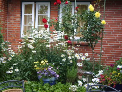 Ferienwohnung für 5 Personen (92 m²) in Oevenum 2/10