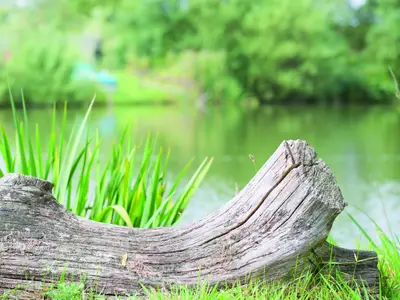 Ferienwohnung für 2 Personen (55 m²) in Offenbüttel 9/10