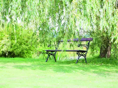 Ferienwohnung für 4 Personen (75 m²) in Offenbüttel 8/10