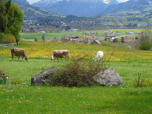 Ausblick vom Garten