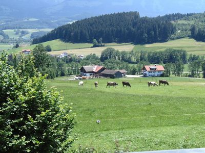 Ausblick vom Garten