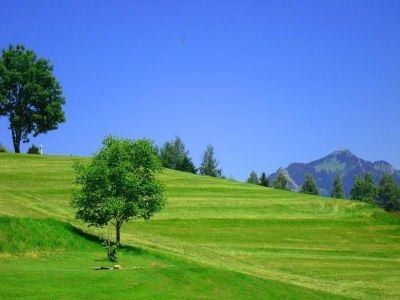 Blick vom Garten nach Norden