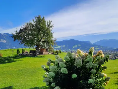 Grillhütte mit Horthenzie