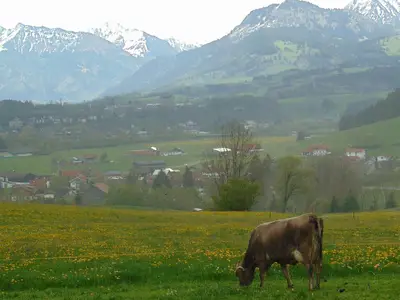 Ausblick vom Garten