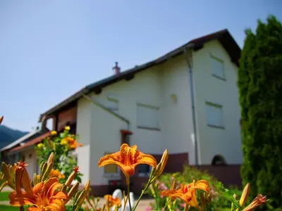 Ferienwohnung für 6 Personen in Ogulin 5/10