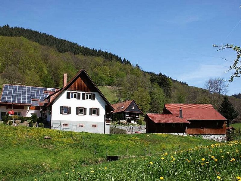 Ferienhof Huber in Ohlsbach