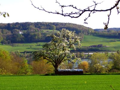 Blick aus dem Wohnzimmer über den Bodensee in die Schweiz