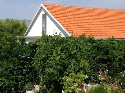 Ferienwohnung für 3 Personen (45 m²) in Okrug Donji 3/10
