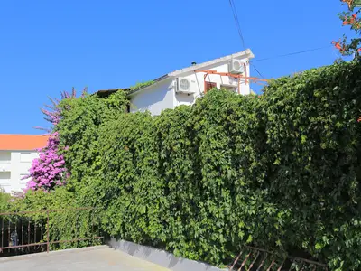 Bild 10