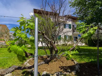 Ferienwohnung für 4 Personen (30 m²) in Okrug Gornji 7/10