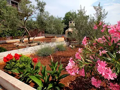 Ferienwohnung für 2 Personen (32 m²) in Okrug Gornji 8/10