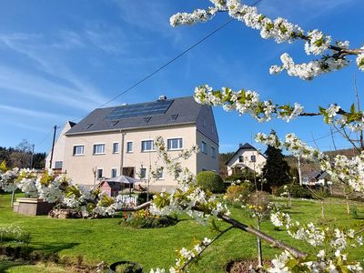 Kirschblüte mit Blick zum Wohnhaus