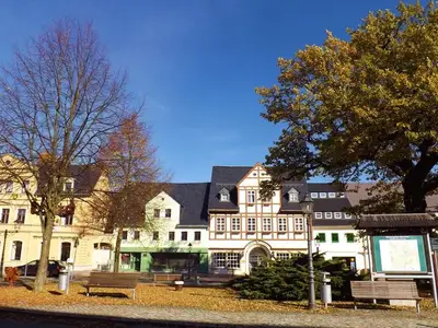 Ferienwohnung für 4 Personen (36 m²) in Olbernhau 8/10