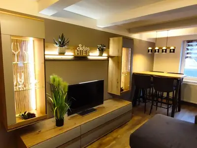 Ferienwohnung für 3 Personen (60 m²) in Olbernhau 6/10