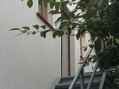 Ferienwohnung für 3 Personen (32 m²) in Olbersdorf 2/10