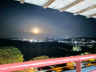 ViewSummer