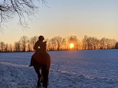 Reiten im Schnee