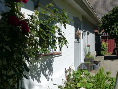 Hausansicht Ferienhaus Lütt Hus