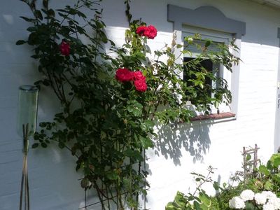 Ferienhaus Lütt Hus