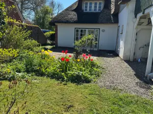 Ferienwohnung für 2 Personen (55 m²) in Oldenswort
