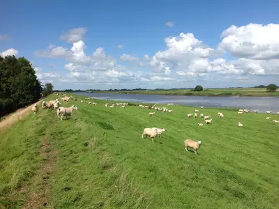 Ferienwohnung für 4 Personen (60 m²) in Oldenswort 4/10