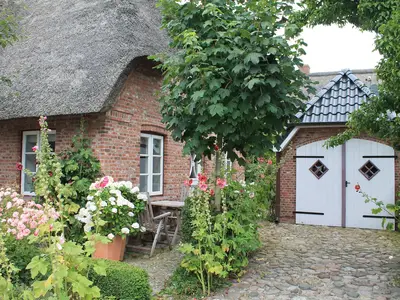Ferienwohnung für 2 Personen (40 m²) in Oldsum 5/10