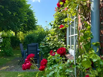 Ferienwohnung für 4 Personen (60 m²) in Oldsum 2/10