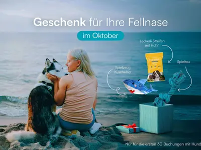 Ferienwohnung für 4 Personen (86 m²) in Olpenitz 3/10