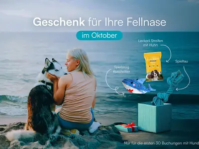 Ferienwohnung für 6 Personen (140 m²) in Olpenitz 3/10