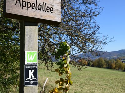 Apfelbäume auf dem Wanderweg "Appelallee"