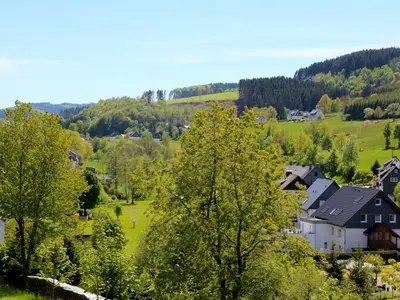 Ferienwohnung für 5 Personen (80 m²) in Olsberg 4/10