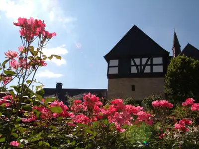 Ferienwohnung für 12 Personen (190 m²) in Olsberg 5/10