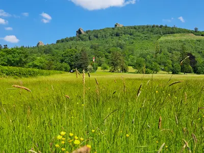 Bruchhauser Steine