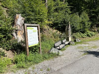 Ferienwohnung für 8 Personen (115 m²) in Olsberg 9/10