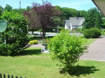 ViewSummer