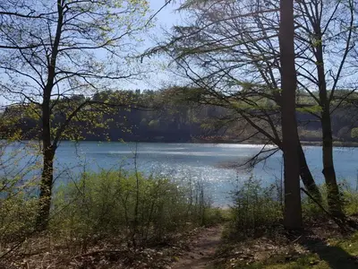 AreaSummer5KM