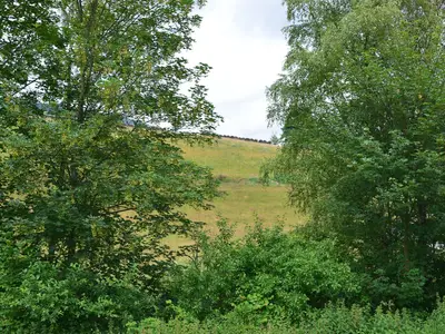 ViewSummer