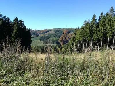 Ferienwohnung für 2 Personen (35 m²) in Olsberg 8/10