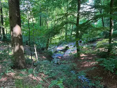 Ferienwohnung für 2 Personen (35 m²) in Olsberg 7/10