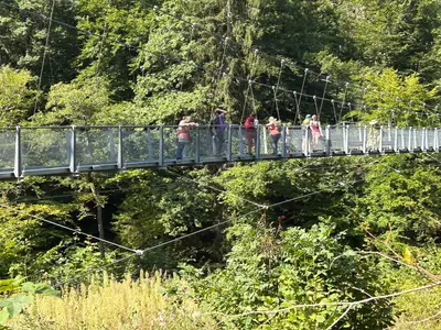 AreaSummer1KM