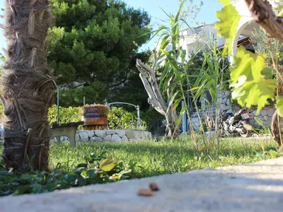 Ferienwohnung für 4 Personen (42 m²) in Stanići 10/10