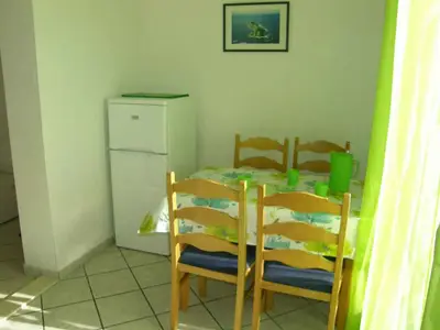 Ferienwohnung für 4 Personen (50 m²) in Stanići 7/10